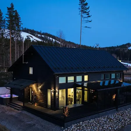 Alppinotko 6 A&b - 18 Hloe, Himos Alppinotko Villa Sayryla